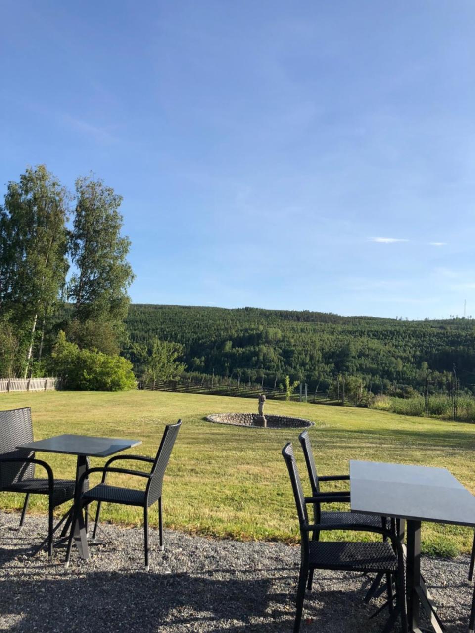 Näsåker Hotell Restaurang Naemforsen מראה חיצוני תמונה